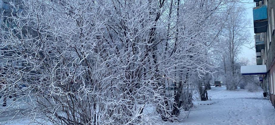 Главный синоптик Уралгидромета рассказала, какую погоду стоит ждать до конца ноября на севере области