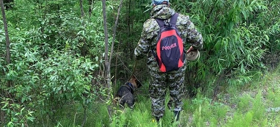 Следственный комитет начал проверку по факту обнаружения тела Тамары Зябловой