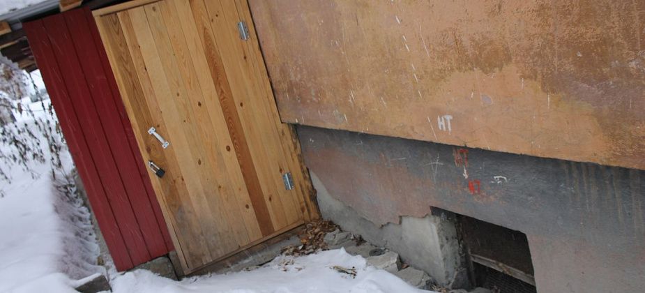 В подвале серовского дома замуровали кошек: "Они просто умрут"...