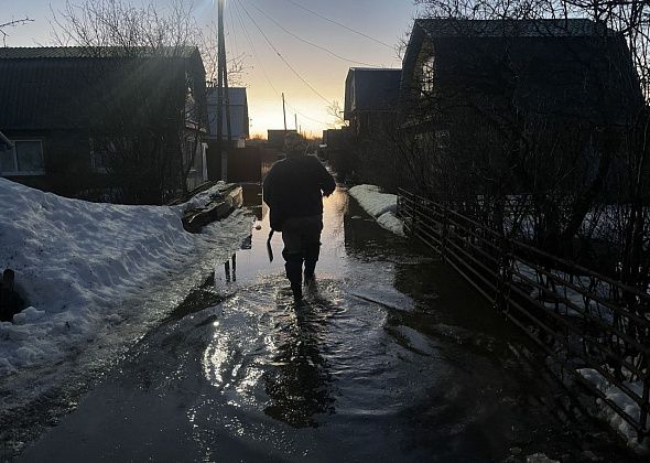 "На участках вода течет как река". Вешними водами затопило сады под Серовом
