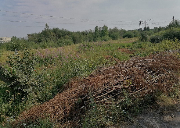 Серовские железнодорожники убрали старые ветви из полосы отвода. По предписанию транспортной прокуратуры