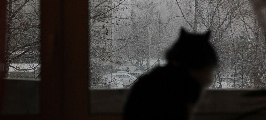 Завтра ожидается похолодание до минус 34 градусов и снегопады