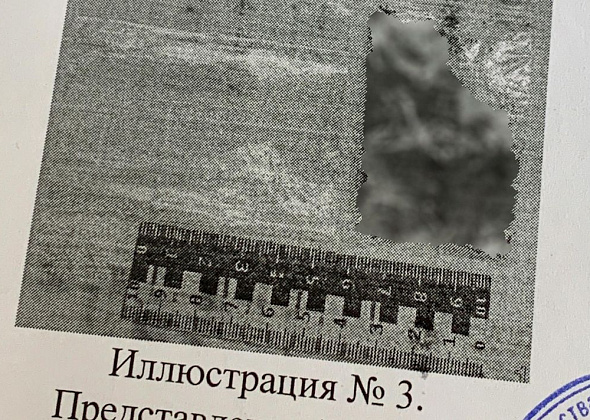 Положительно характеризующийся серовчанин попался на сбыте наркотиков