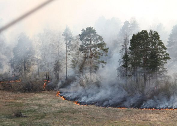 В Серове случился первый в 2019 году лесной пожар