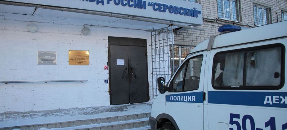 Полиция Серова проводит проверку по обнаружению трупов собак в различных районах города