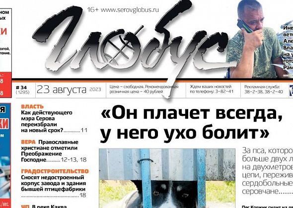 Свежий «Глобус»: нуждающийся в помощи пес Коржик, поющий на улицах ветеран Чечни, снос птицефабрики
