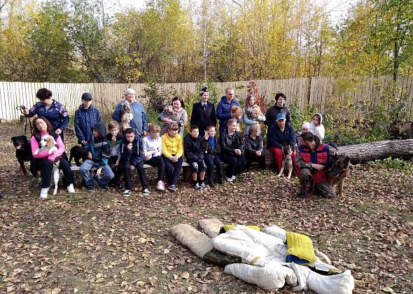 Воспитанники детского дома-школы поиграли с собаками