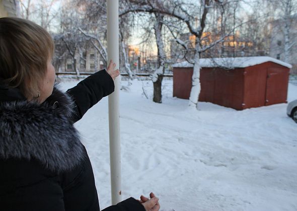 Свидетели сообщают, что елки у кожвендиспансера Серова спилила "приличная женщина", приехавшая на "Тойоте"