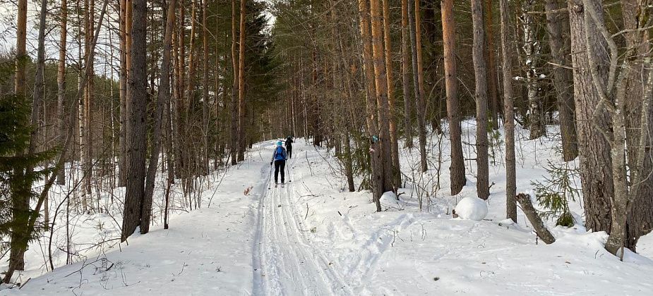 В канун Старого Нового года “Конжак” приглашает серовчан на лыжную прогулку