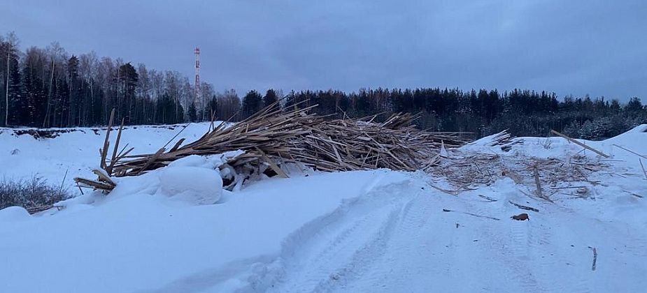 Серовское лесничество обратилось в полицию из-за свалки горбыля