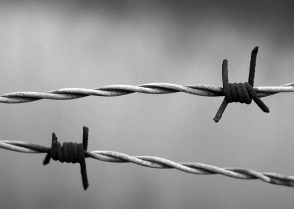 Общественный наблюдатель Ольга Вековшинина попросила СК проверить врачей из сосьвинской колонии