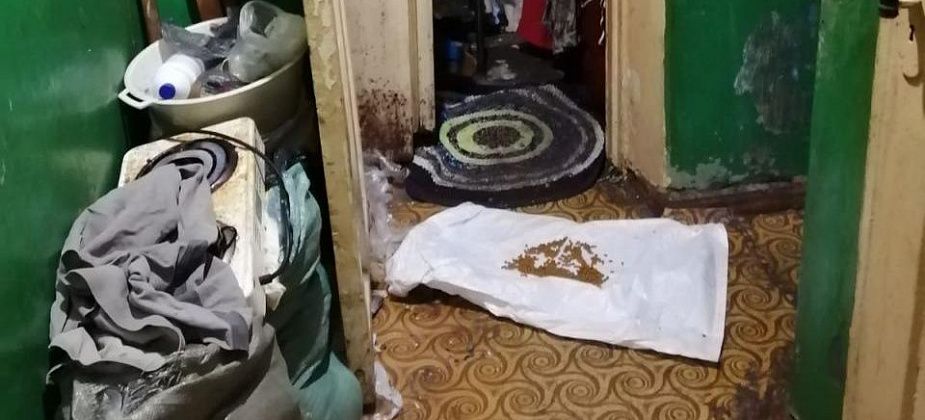 Захламленную квартиру в Серове освободили от мусора, а кошек пристроили в добрые руки
