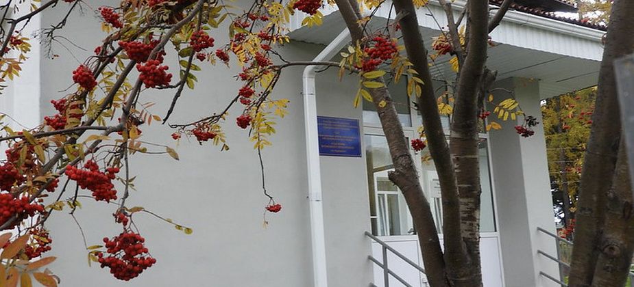 Как сотрудники отделения временного проживания «включают свет» в судьбах своих клиентов