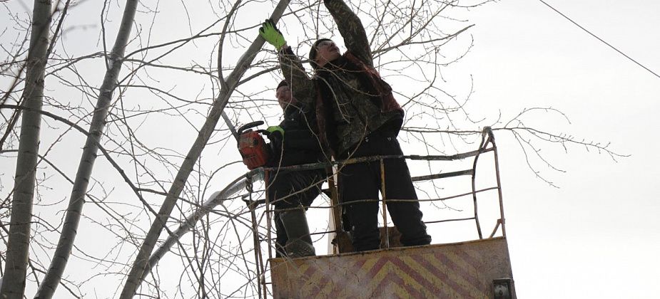 В этом году на озеленение территорий Серова планируют потратить больше 8 миллионов рублей