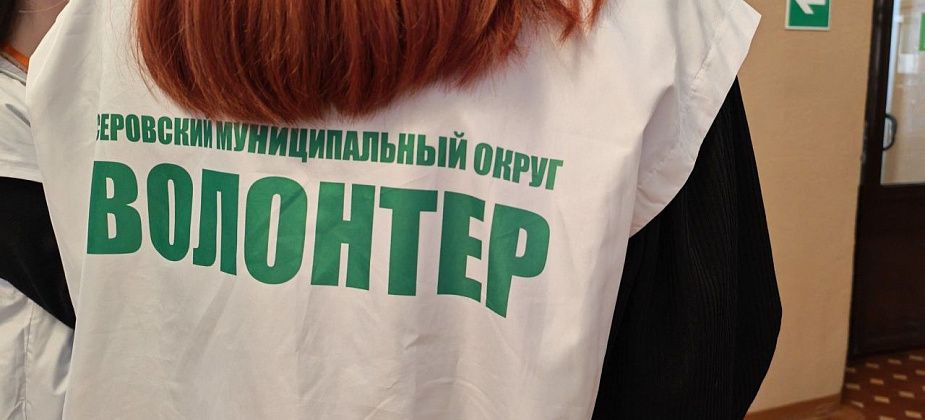 В голосовании за объекты для благоустройства приняли участие уже 13 тысяч серовчан 