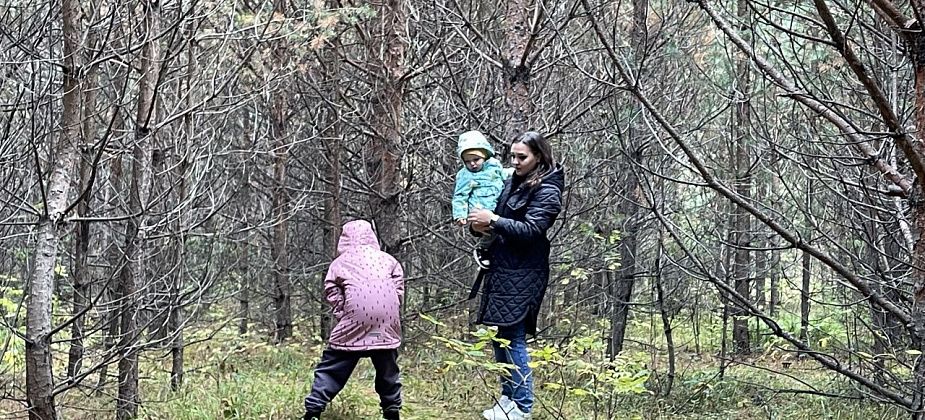 Мэрия Серова хочет оспорить решение суда об обеспечении инфраструктурой участков, выделенных под ИЖС