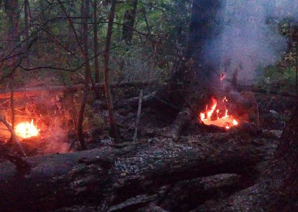 На территории Серовского лесничества зафиксировано два действующих пожара