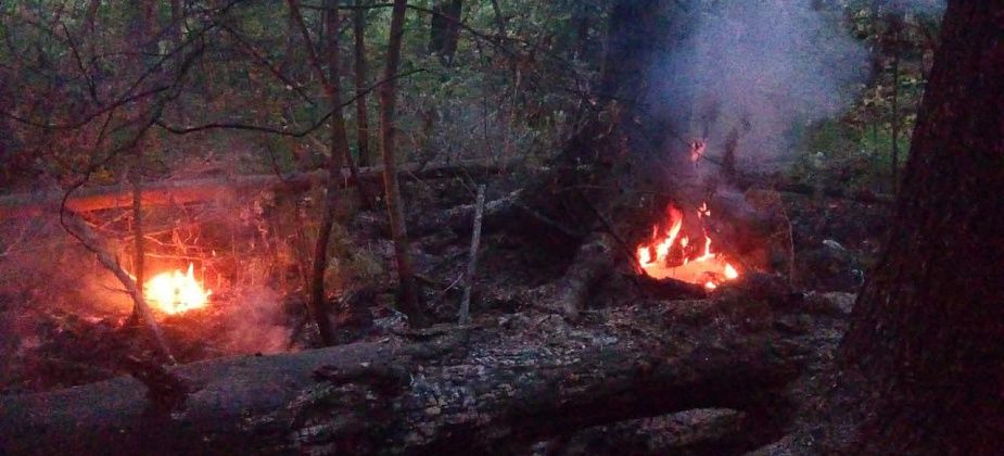 На территории Серовского лесничества зафиксировано два действующих пожара
