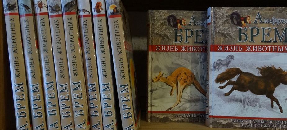 Путешественник, натуралист, писатель (к 195-летию А.Э. Брема)