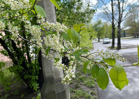 В конце мая на севере области обещают потепление до +23 градусов