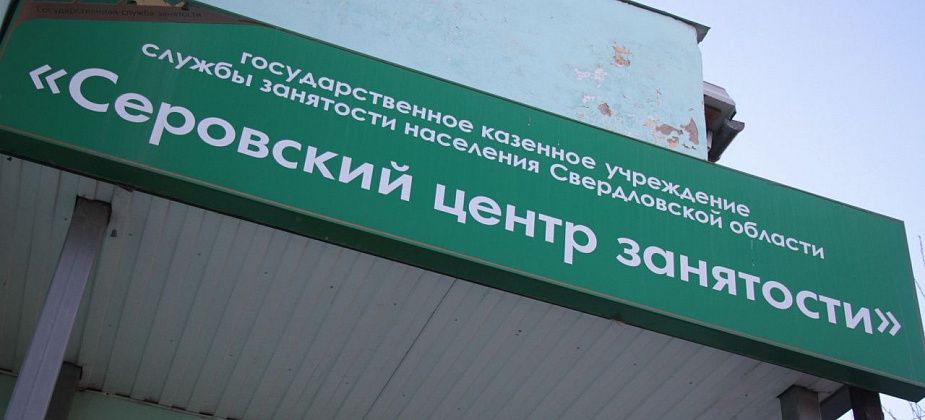 Лесничий, воспитатель, инженер. Вакансии в Серове, Сосьве и Гарях в свежей подборке центра занятости