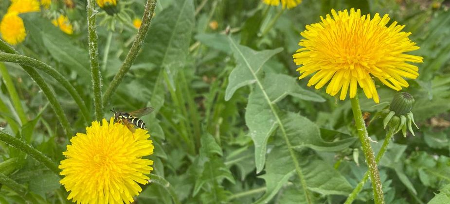 В выходные синоптики прогнозируют дождь
