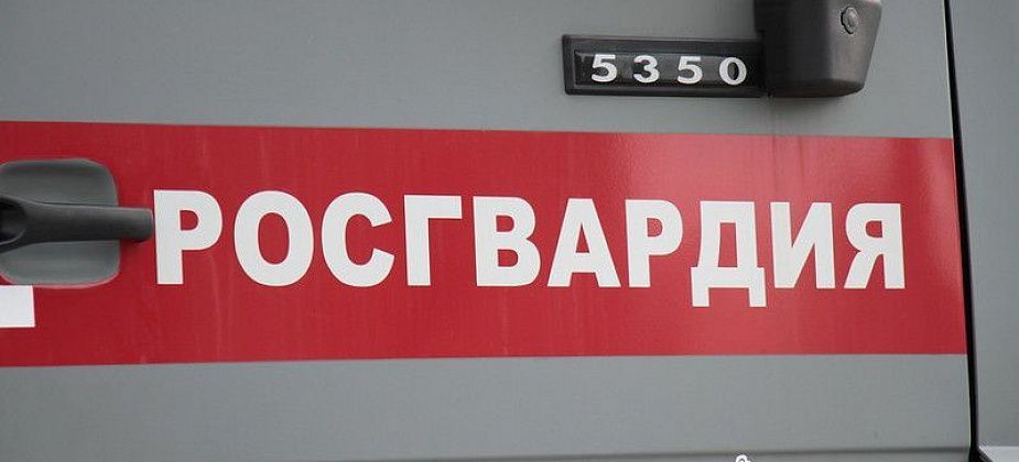 Серовчанин ударил прапорщика Росгвардии головой в лицо и ногой в пах. За это мужчину судили