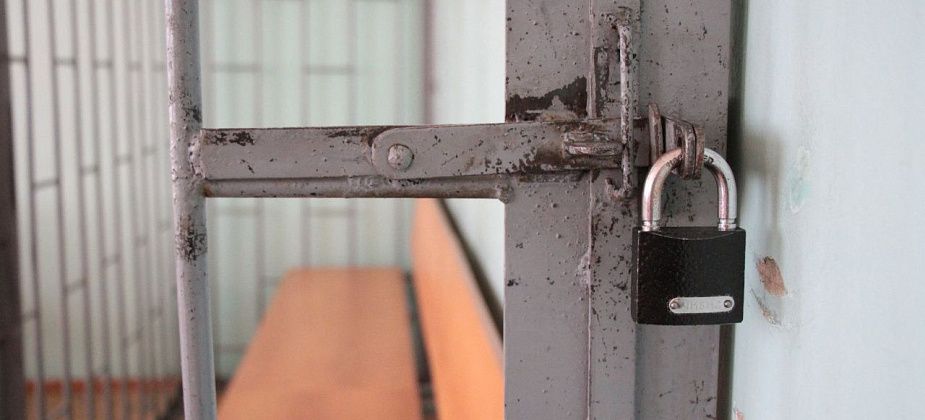 Жительницу Романово приговорили к 6 годам колонии за убийство сожителя