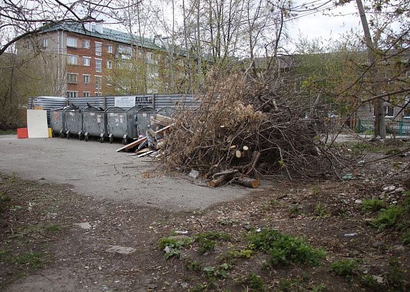 УКС Серова ищет компанию для содержания 274 контейнерных площадок