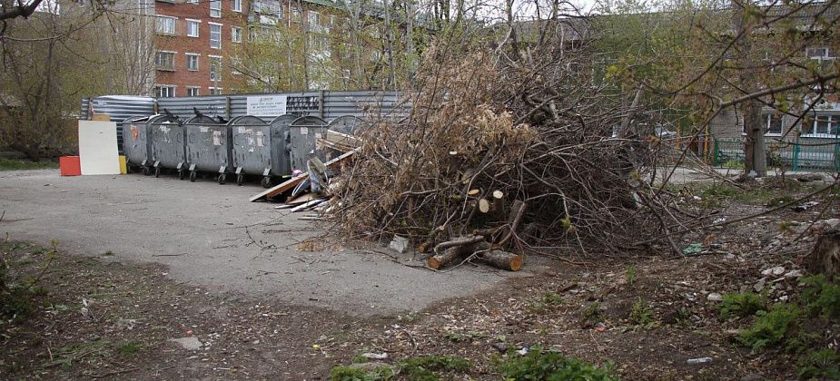 УКС Серова ищет компанию для содержания 274 контейнерных площадок