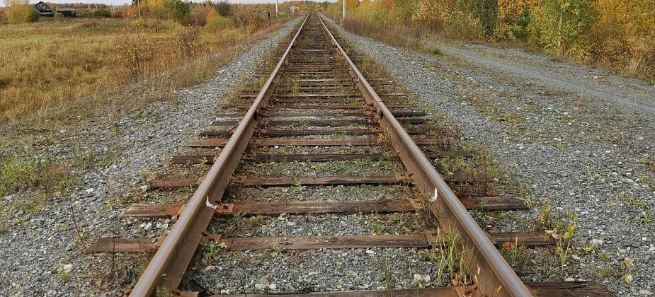 По протесту транспортного прокурора в соответствие привели нормативные акты лесохозяйственного регламента