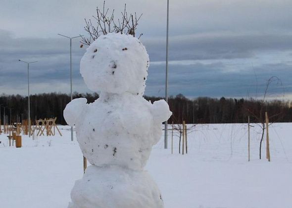 На севере области похолодает до -29 градусов