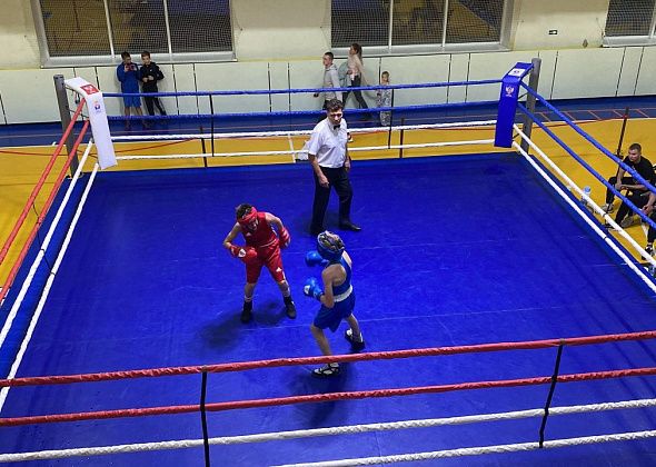 В Серове проведут турнир по боксу памяти тренера Юрия Врублевского