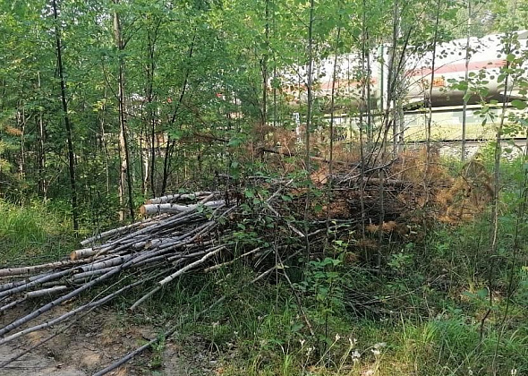 Железнодорожники после вмешательства Серовской транспортной прокуратуры вывезли срубленный кустарник из полосы отвода