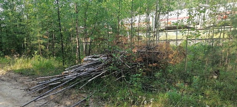 Железнодорожники после вмешательства Серовской транспортной прокуратуры вывезли срубленный кустарник из полосы отвода