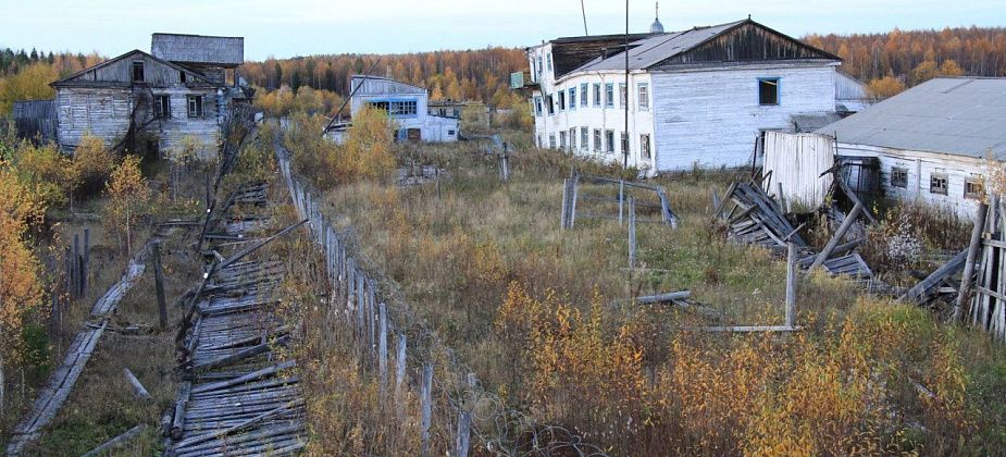 В Пуксинке планируют разобрать остатки колонии