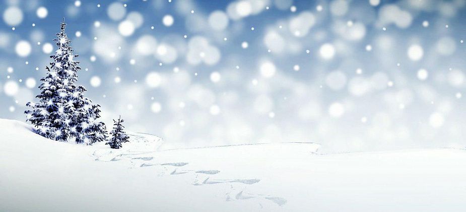 К концу недели похолодает, но сильных морозов не ожидается