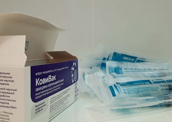 В Серов поступила пятидозная вакцина "КовиВак". Больница просит горожан воспользоваться предварительной записью на вакцинацию