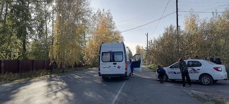 В Серове учебный автомобиль с инструктором за рулем сбил пешехода