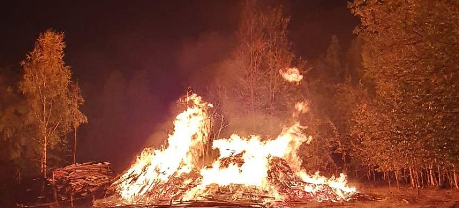 "На 99% уверен, что пожарные этот штабель и подожгли". Серовчанин заподозрил пожарных в... поджоге горбыля на 2-й Молочной