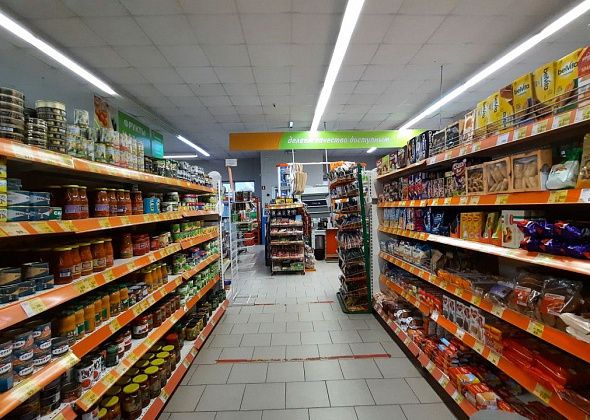 В 2025 году в Серовском округе стало больше на 6 «Монеток», 4 «Пятерочки», 2 «Магнита» и один «К&Б»