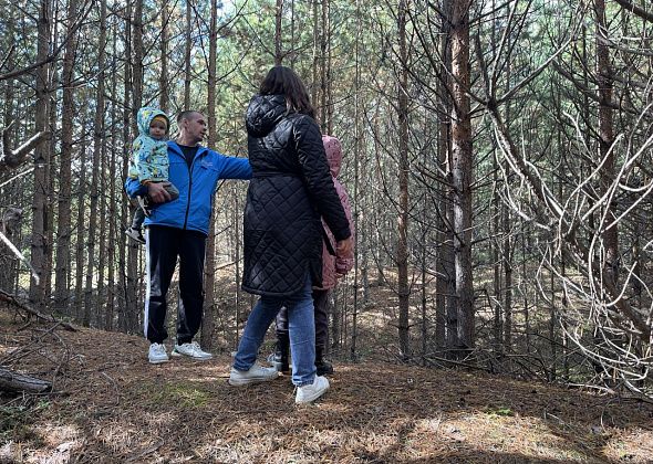 Суд обязал мэрию обеспечить инфраструктурой участки на Горке, выделенные многодетным под ИЖС