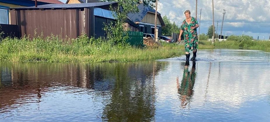 "В городе все ливневки засрали, вот вода и пошла к нам". Жители Завокзального остаются без урожая из-за затопленных огородов