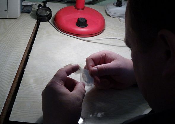 Серовчанина, подозреваемого в кражах из садовых домиков, нашли по отпечаткам пальцев 