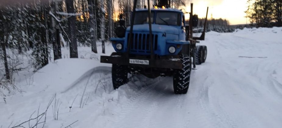 «Обещал всех расстрелять из автомата и закопать в карьере». В Серове разгорелся конфликт из-за свалки горбыля