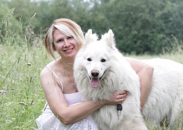 В Серове пройдет национальная выставка собак всех пород «Софиты Урала - 2021»