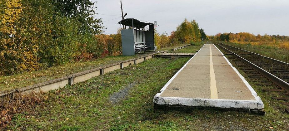 После вмешательства Серовского транспортного прокурора на станции Урай спилили опасные тополя