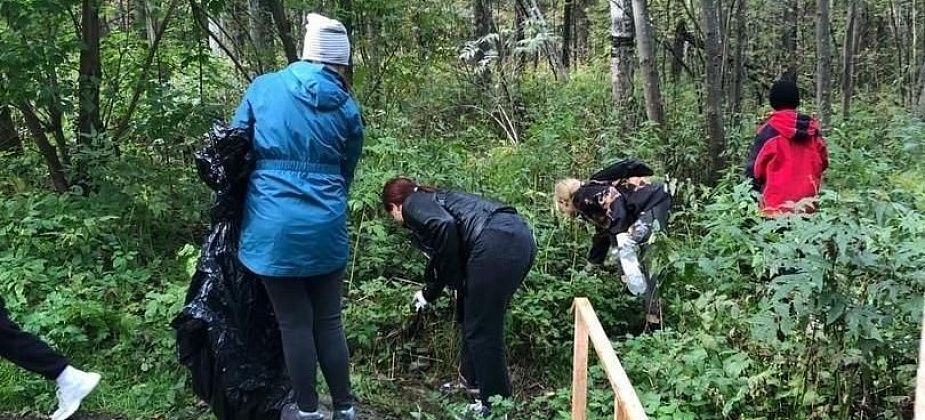 Серовские школьники приняли участие в экологическом субботнике "Живи, родник!"
