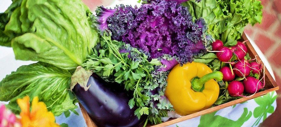 Роспотребнадзор запустит горячую линию по вопросам плодоовощной продукции