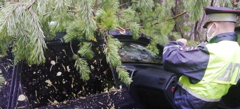 В ДТП на Серовском тракте попала семья из Лысьвы. Пострадали женщина и ребенок